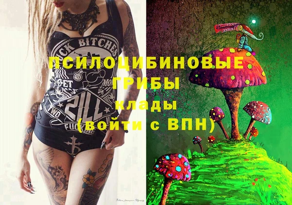 гашик Михайловск