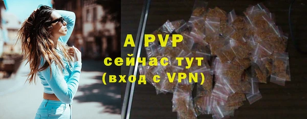 индика Михайлов