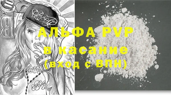 индика Михайлов