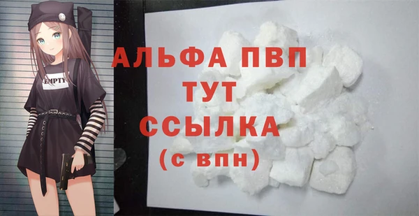 индика Михайлов