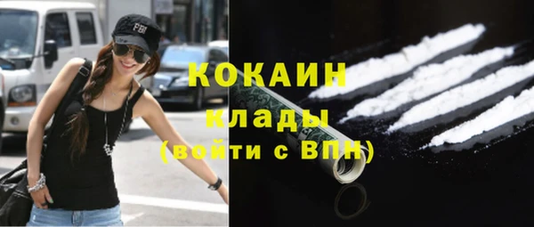 индика Михайлов