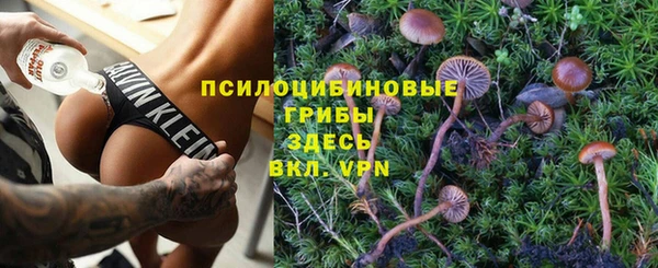 индика Михайлов