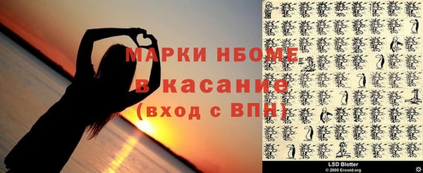 индика Михайлов