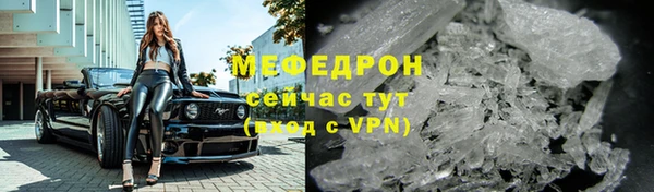 индика Михайлов