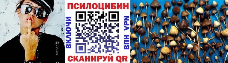 мега как войти  Краснослободск  Псилоцибиновые грибы мухоморы 